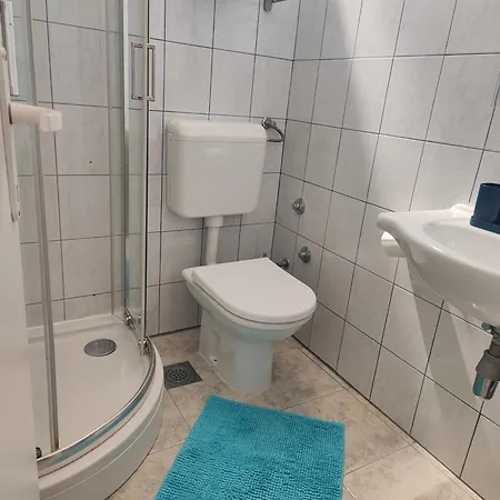 Guest house Bicanic And 3*